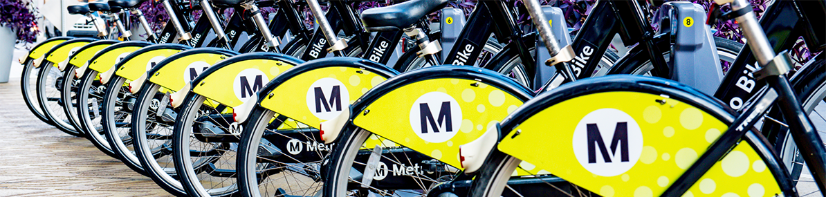 cars in a parking lot